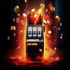 535 bet com