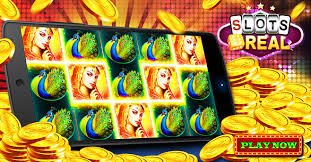 535 bet com
